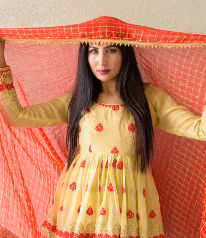 Portrait of beautiful young Indian woman wearing traditional clothes outdoors