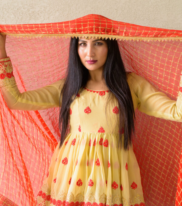 Portrait of beautiful young Indian woman wearing traditional clothes outdoors